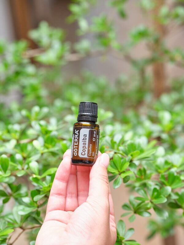 dōTERRA Copaiba ätherisches Öl 15ml - beruhigend und wohltuend