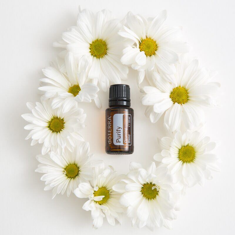 dōTERRA Purify Reinigungsmischung umgeben von Gänseblümchen